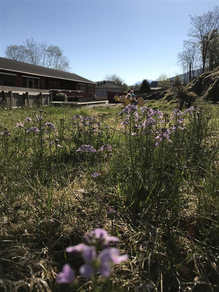 Klikk for stort bilete