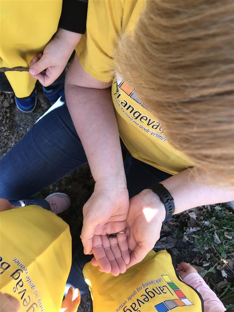 Klikk for stort bilete