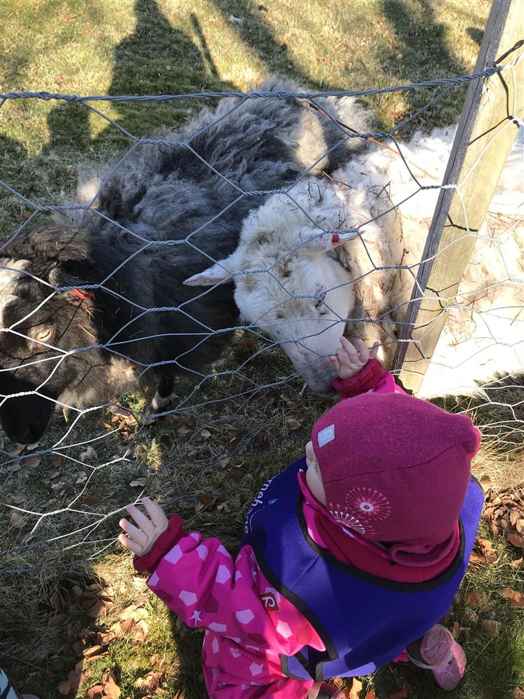 Klikk for stort bilete