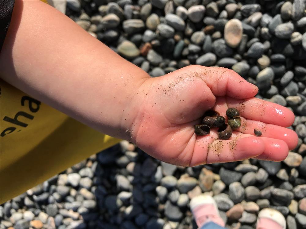 Klikk for stort bilete