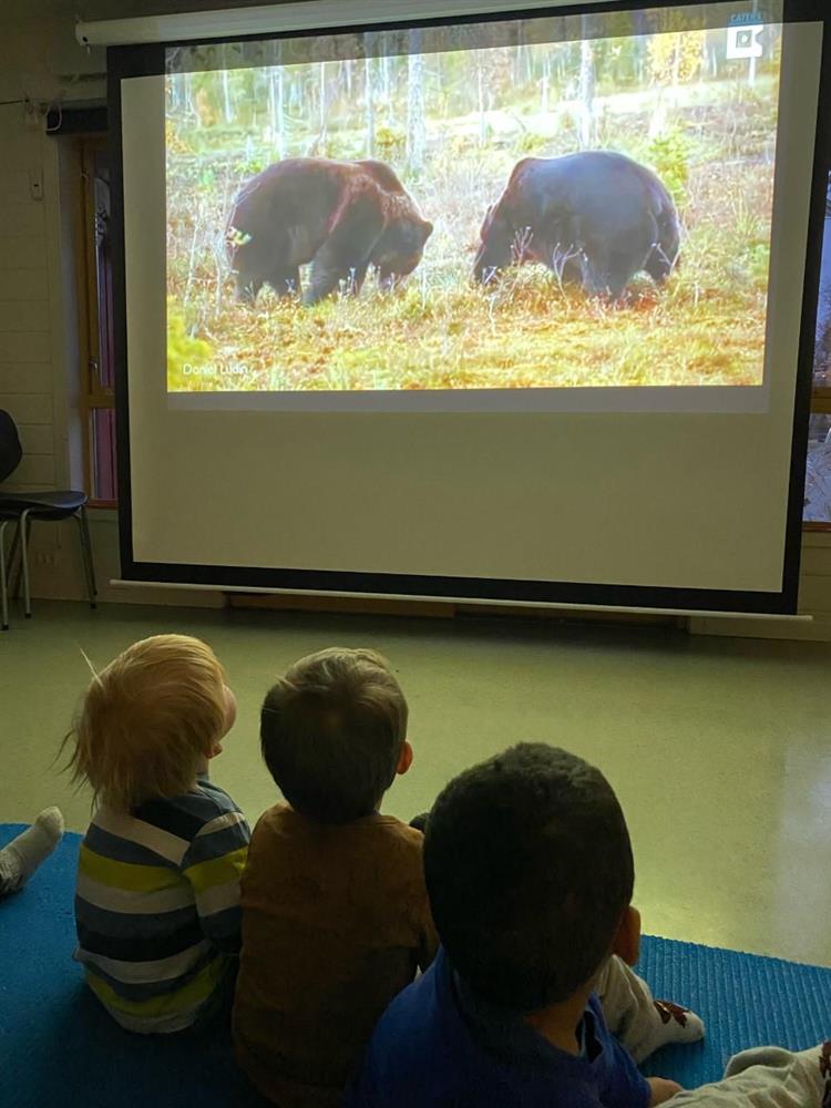 tre barn som ser på bjørnefilm - på lerret frå prosjketor - Klikk for stort bilete