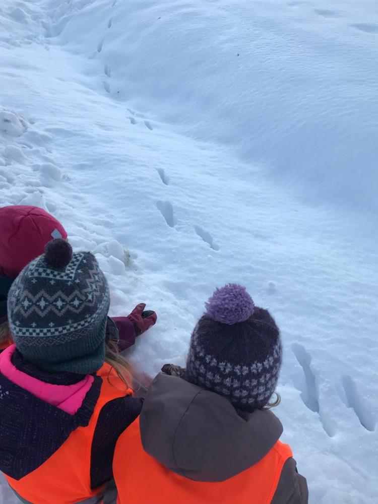 Tre barn studerar dyrespor i snøen - på tur - Klikk for stort bilete