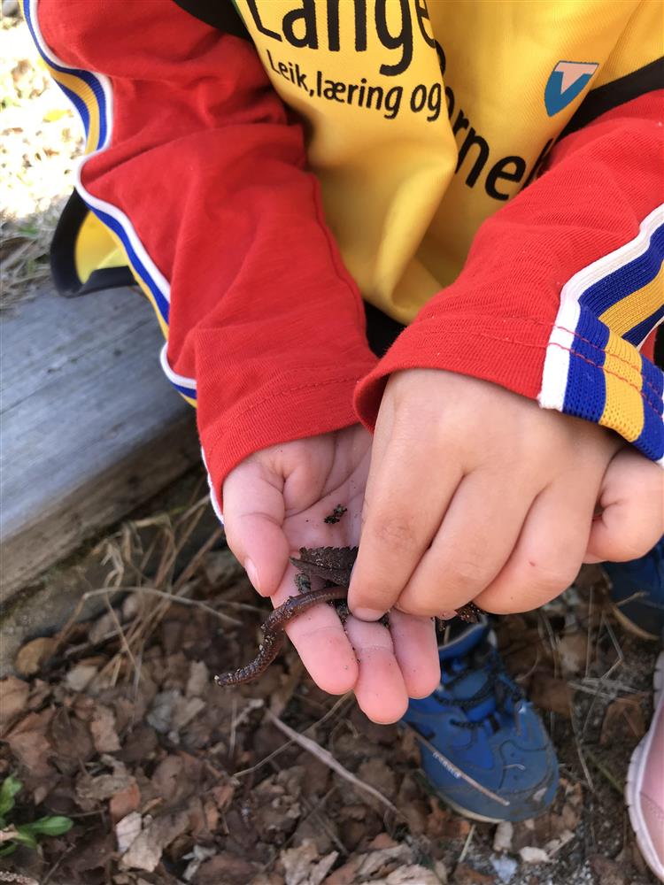 Klikk for stort bilete